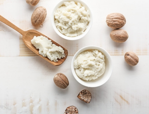 Ingredient Spotlight: Shea Butter